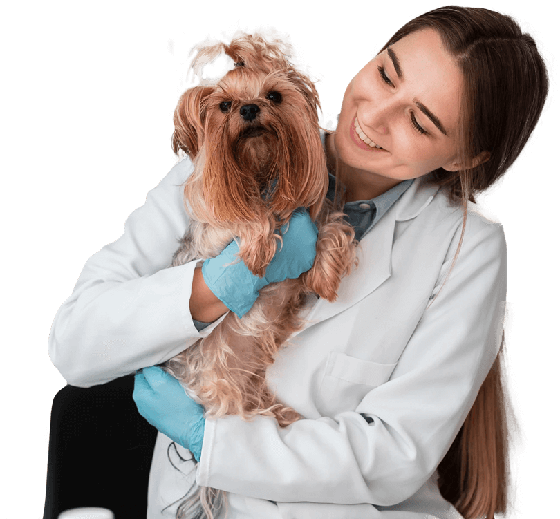 veterinarian-puppy